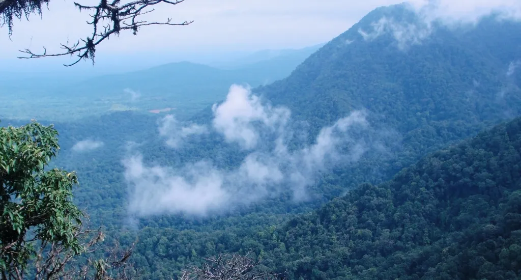Narasimha Parvatha Trek: Route, Permits and Tips from Agumbe