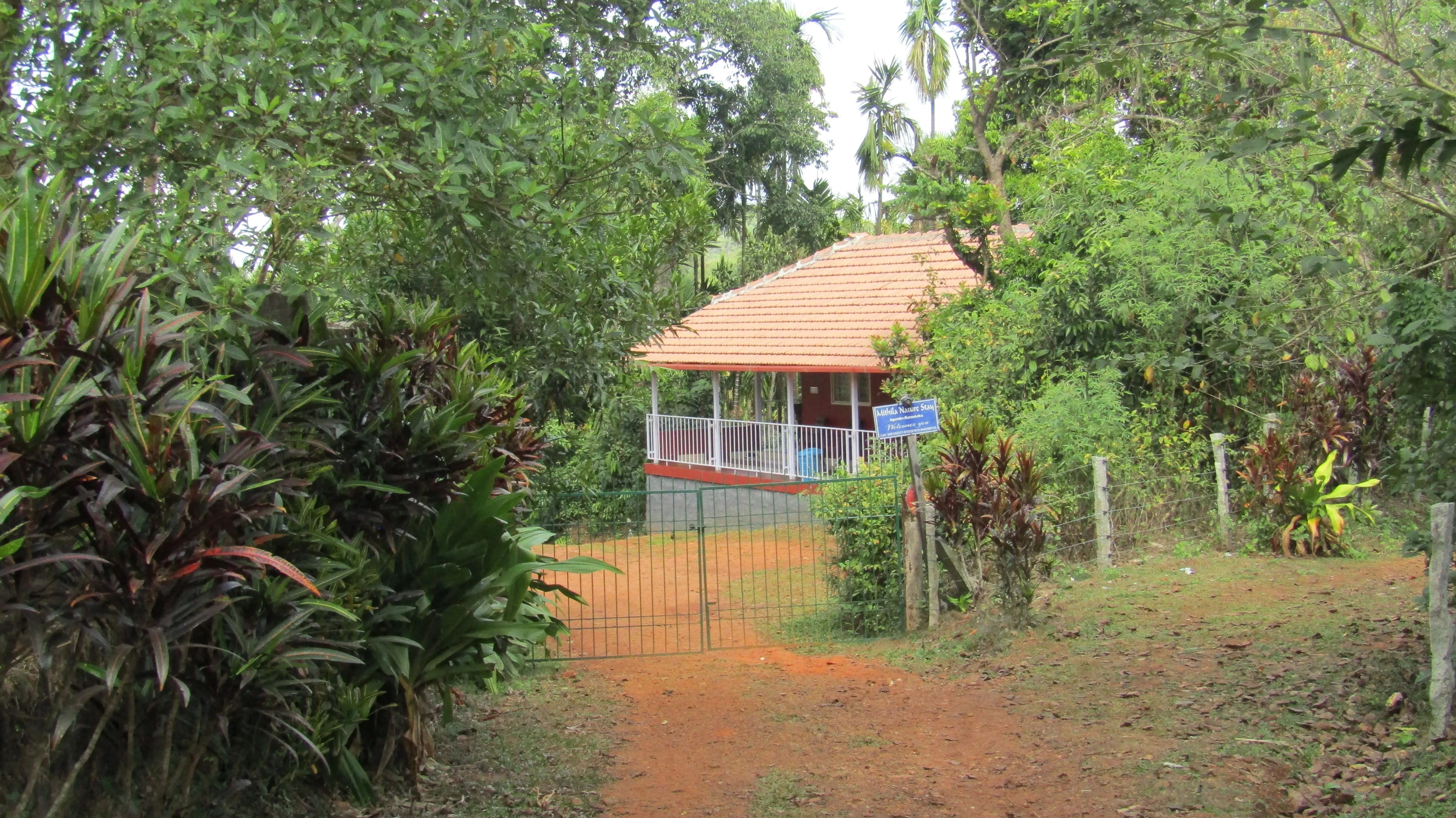 Mithila Nature Stay – A Plantation Homestay in the Heart of Agumbe