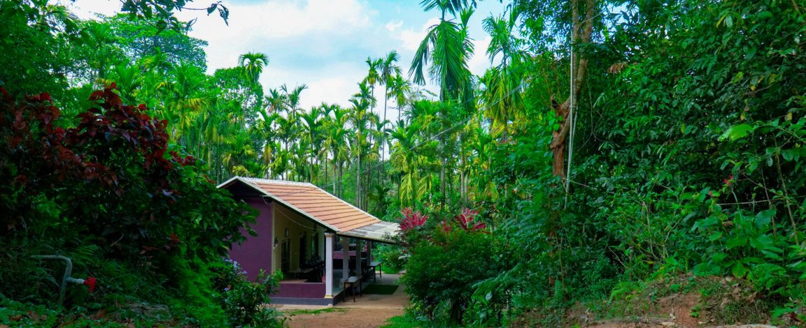 Agumbe Homestay